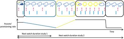 Measuring Up to Reality: Null Models and Analysis Simulations to Study Parental Coordination Over Provisioning Offspring